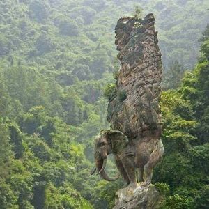 Meet your Posher, Marcelo